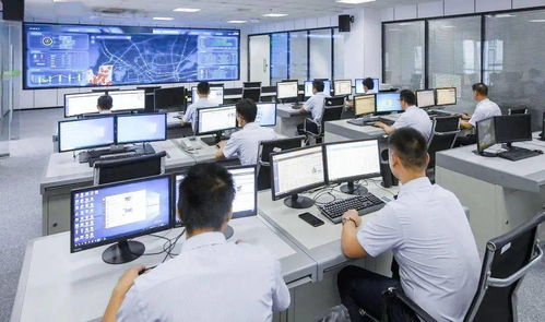 科技城东渚为民服务中心2.0版正式上线 开启信息技术咨询服务新篇章