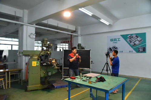 创新培训服务企业 宝山技工全面启动企业适岗培训工作，聚焦信息技术咨询服务